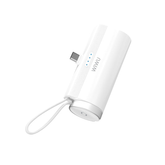 WiWU 2 in 1 Capsule Power Bank (Type-C with Wireless Charging for iWatch)